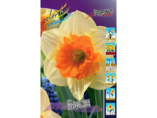 Narcissus Bulley 227,2�. �� 10��.jpg