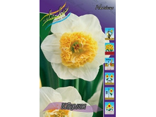 Narcissus Curly 150�. �� 10��..jpg