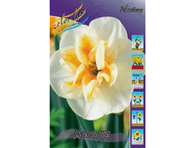 Narcissus Delta 138,9�. �� 10��..jpg