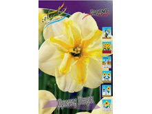 Narcissus Donau Park 127,9�. �� 10��..jpg