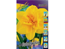 Narcissus Double Smiles 161�. �� 10��..jpg