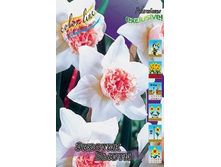 Narcissus Exotic Beauty 420,3�. �� 5��..jpg