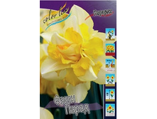 Narcissus Fashion Parade 199,6�. �� 10��..jpg
