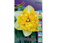 Narcissus Full House 138,9�. �� 10��..jpg