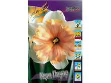 Narcissus Girlpower 199,6�. �� 7 ��..jpg