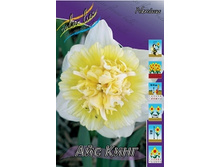 Narcissus Ice King 105,8�..jpg