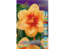 Narcissus Innovator 455,1�. �� 5��..jpg