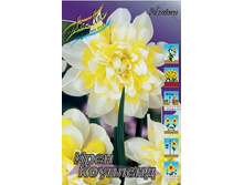 Narcissus Irene Copeland 161�. �� 10��..jpg