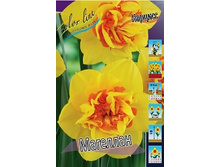 Narcissus Magellan 199,6�. �� 7��..jpg