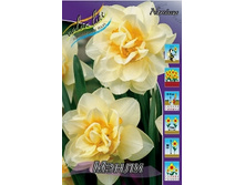 Narcissus Manly 127,9�. �� 10��.jpg