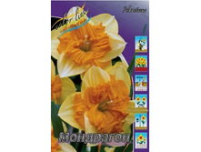 Narcissus Mondragon 150�. �� 10��..jpg