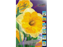 Narcissus Parabole 166,5�. �� 10��..jpg