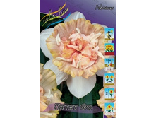Narcissus Petit Four 205,1�. �� 10��.jpg