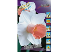 Narcissus Pink Silk 161�. �� 5 ��..jpg
