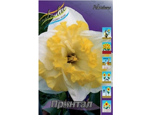Narcissus Printal 127,9�. �� 10��..jpg