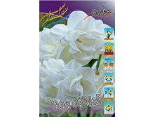 Narcissus Rose Of May 241�. �� 5 ��..jpg