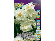 Narcissus Sir Winston Churchill 94,8�. �� 10��.jpg