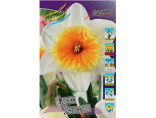 Narcissus Slim Whitman 105,8�. �� 10��..jpg