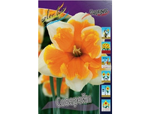 Narcissus Souvereign 150�. �� 10 ��..jpg