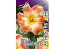Narcissus Sunny Girlfriend 188�. �� 7��.jpg