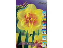 Narcissus Tahiti 127,9�. �� 10��.jpg