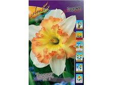 Narcissus Taurus 163,7�. �� 5��..jpg
