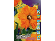 Narcissus Tiritomba 205,1�. �� 10��..jpg