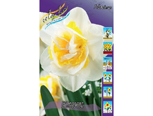 Narcissus Unique 116,8�. �� 10��.jpg