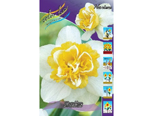 Narcissus Wave 172,6�. �� 7��.jpg