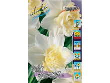 Narcissus White Favorite 184,2�. �� 7��.jpg