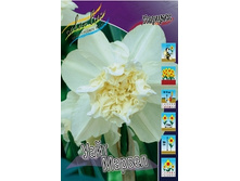 Narcissus White Marvel 127,9�. �� 10��.jpg