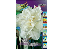 Narcissus White Medal 205,1�. �� 10��..jpg