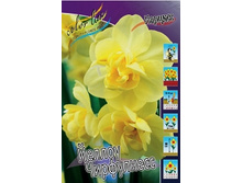 Narcissus Yellow Cheerfulness 94,8�. �� 10��..jpg