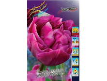 Tulipa Backpacker 93,3�. �� 10��..jpg