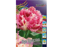 Tulipa Cool Crystal 180,2�. �� 10��.jpg