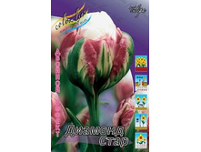 Tulipa Diamond Star 287,5�. �� 5��.jpg