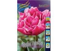 Tulipa Double Price 118,9�. �� 10��.jpg