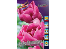 Tulipa Double Princess 108,7�. �� 10��.jpg