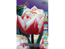 Tulipa Horizon 88,2�. �� 10��.jpg