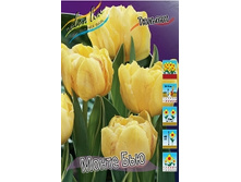 Tulipa Monte Beau 103,6�. �� 10��.jpg