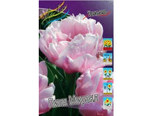Tulipa Pink Miracle 185,3�. �� 10��.jpg