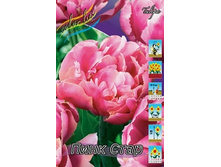 Tulipa Pink Star 93,3�. �� 10��.jpg