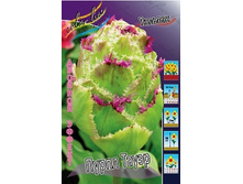 Tulipa Purple Tower 217,5�. �� 7��.jpg