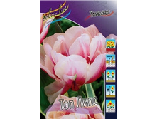 Tulipa Top Lips 98,5�. �� 10��.jpg