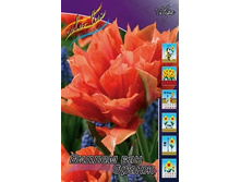 Tulipa Willem Van Oranje 118,9�. �� 10��.jpg