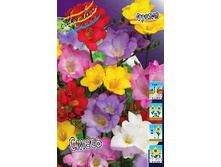 Freesia Single Mixed 67,8�. �� 15��.jpg