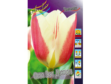 Tulipa All that Jazz 88,2�. �� 10��.jpg