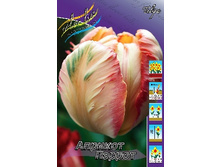Tulipa Apricot Parrot 103,6�. �� 10��.jpg