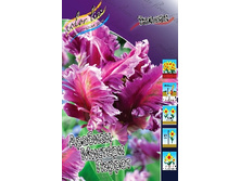 Tulipa Arabian Mystery Parrot 198,1�. �� 10��.jpg