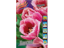Tulipa Canova 108,7�. �� 10��.jpg